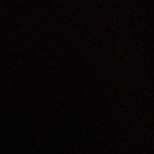 Meet your Posher, Randall